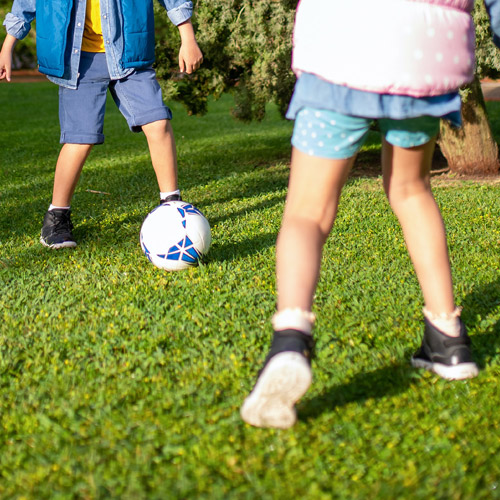 graszaad voor speelveldjes