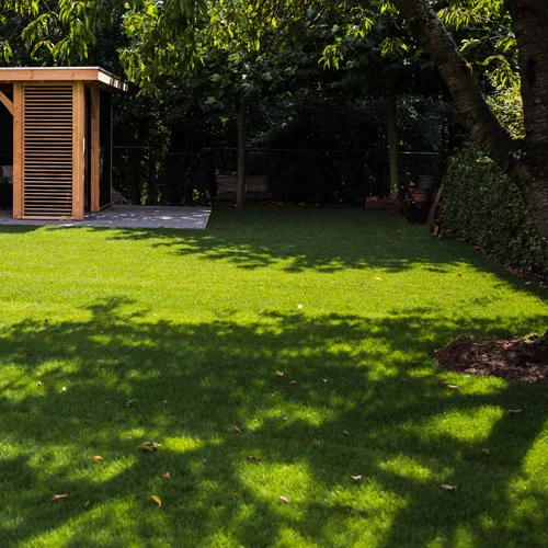 Ein gut gepflegter grüner Rasen im Schatten von Bäumen, der mit hochwertigem Rasensaatgut gepflegt wurde. Der Rasen ist gleichmäßig und gesund, mit feinen Schattenmustern auf dem Boden.