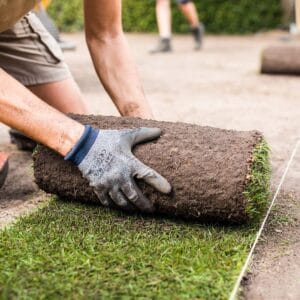 Ein Gärtner verlegt einen frischen Rollrasen, der mit Erde bedeckt ist. Der Rasen wird präzise entlang einer Führungslinie ausgerichtet, um eine gleichmäßige Fläche zu schaffen.