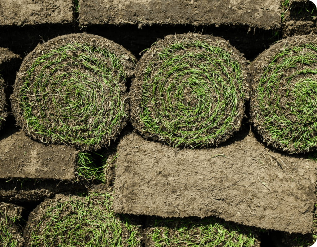 Nahaufnahme von Rollrasenrollen, die übereinander gestapelt sind. Jede Rolle zeigt das grüne Gras, das mit Erde zusammengewunden ist, bereit zur Verlegung auf den Rasenbereich.