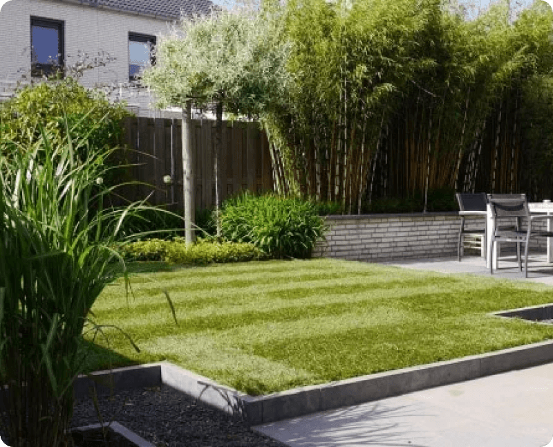 Ein modern gestalteter Garten mit einem Rasen, der in gleichmäßigen Streifen gemäht ist, und einer Bambushecke im Hintergrund. Im Vordergrund befindet sich ein Sitzbereich mit Stühlen und einem Tisch.