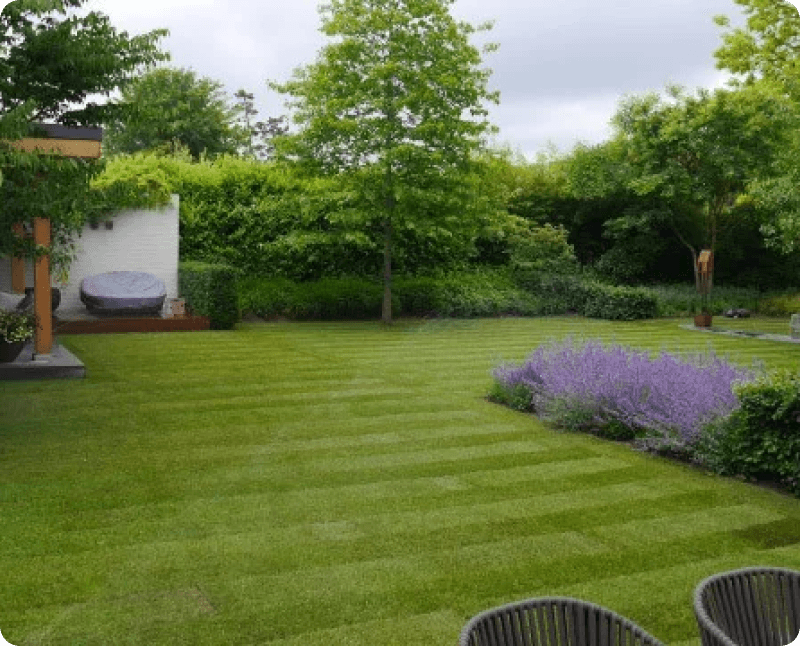 Ein wunderschön gepflegter Garten mit gleichmäßig gemähtem Rasen und Lavendelbeeten. Der Garten ist umgeben von grünen Hecken und Bäumen, und es gibt einen gemütlichen Sitzbereich.