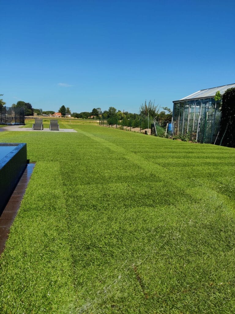 Ein grüner, gepflegter Rasen im Garten mit Liegestühlen auf einer Terrasse aus Steinplatten. Im Hintergrund ist ein Gewächshaus und eine Hecke zu sehen, während der Himmel klar und sonnig ist.