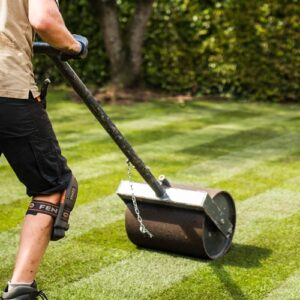 Fachkraft walzt frisch verlegten Rollrasen mit einer schweren Rasenwalze an, um eine ebene Fläche und optimalen Bodenkontakt zu gewährleisten. Im Hintergrund dichter grüner Garten.