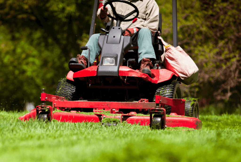Ein Gärtner mäht mit einem roten Aufsitzrasenmäher eine dichte, grüne Rasenfläche. Perfekte Pflege für einen gesunden und gepflegten Rasen.