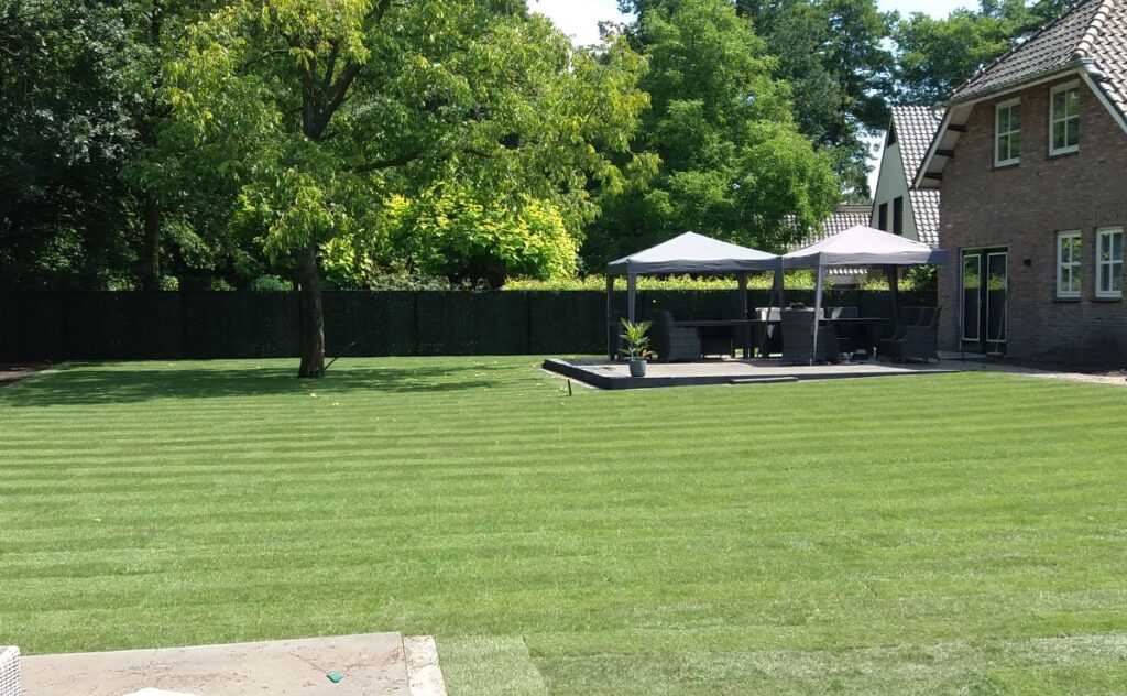 Großer Garten, in dem Rollrasen verlegt ist und auf dem ein großer Baum steht. Neben dem Rasen ist eine Terasse mit Gartenmöbeln