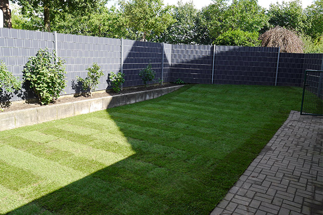 Gepflegter Rollrasen der eine an einem Rand eine Steigung hat in einem Garten mit einem gepflastertem Weg.