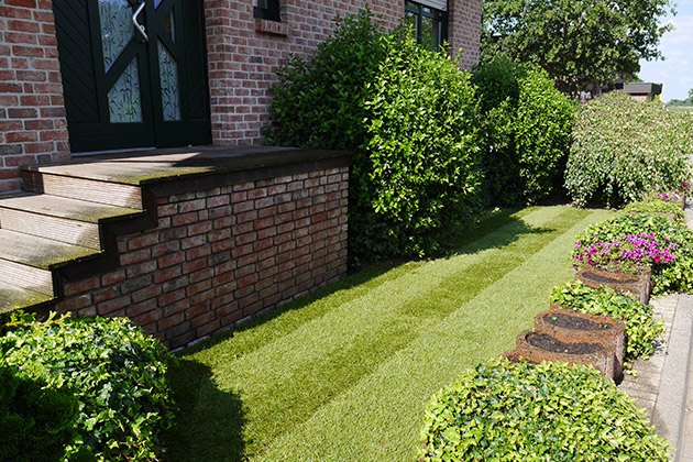 Gepflegter Vorgarten mit Rollrasen und Blumenbeet vor der Haustüre.