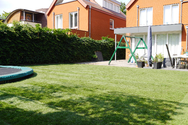 Frisch gemähter Garten mit Rollrasen, auf dem ein Trampolin neben einer Hecke steht.